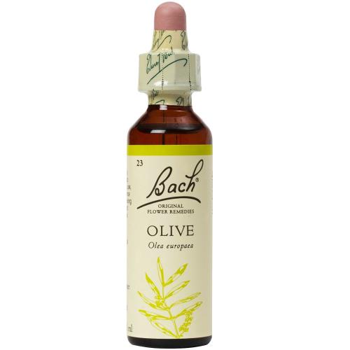 Bach Olive Συμπλήρωμα Διατροφής Ανθοϊάματος με Εκχύλισμα Ελιάς για Αντιμετώπιση της Πνευματικής & Σωματικής Εξάντλησης 20ml